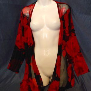 Sheer Black and Red Robe